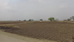 Jigsoli, Madhya Pradesh, India preview 2