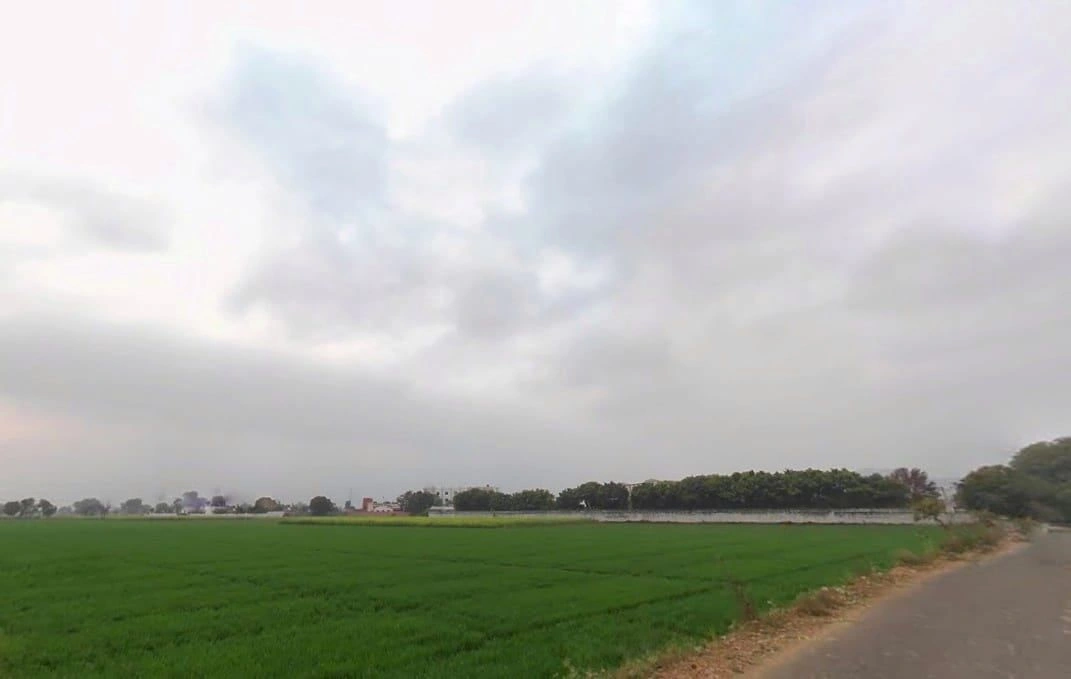 JJMV+PM7, Jahar Khera, Rajasthan 301028, India