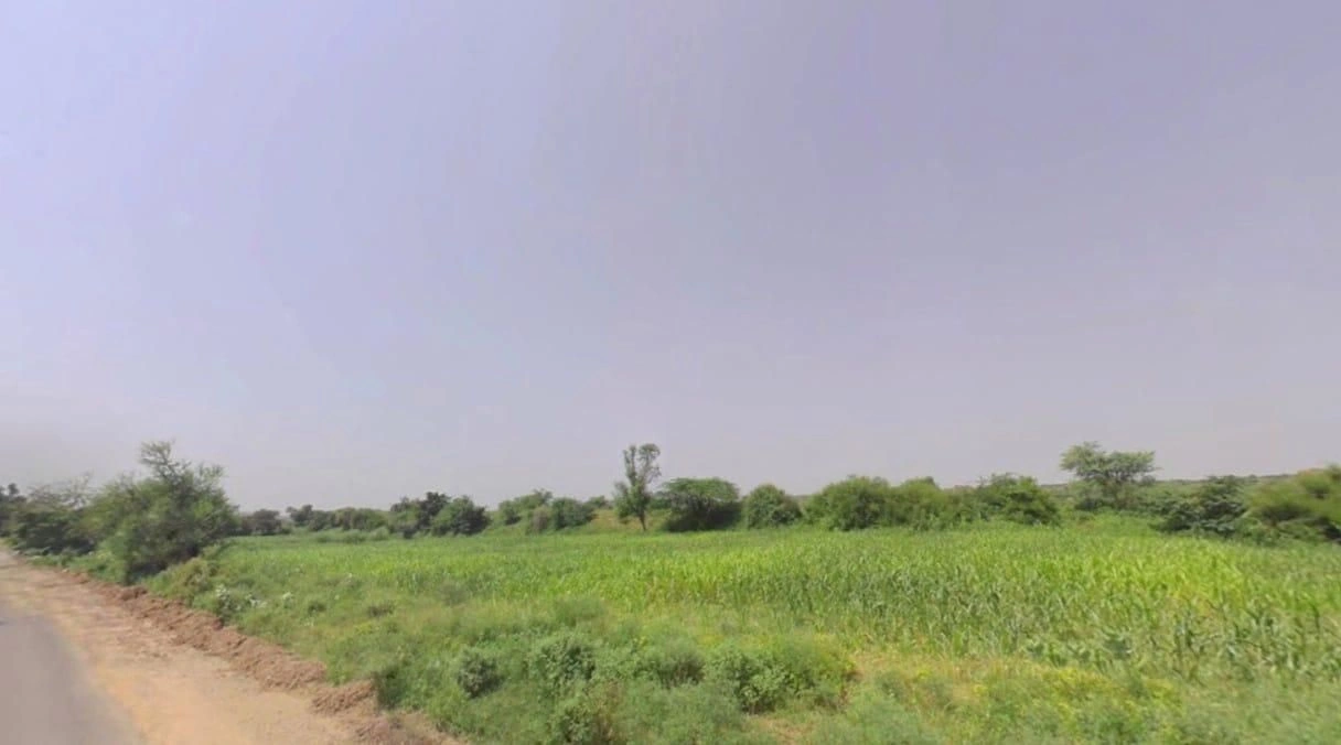 Chhichharwari, Rajasthan 321022, India