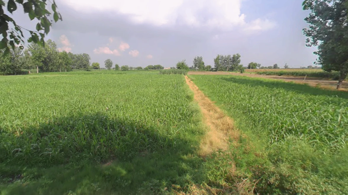 Patauna, Uttar Pradesh 226104, India