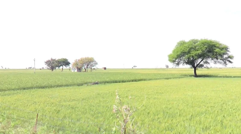 963Q+5FH, Jhirniya, Madhya Pradesh 462036, India preview 2