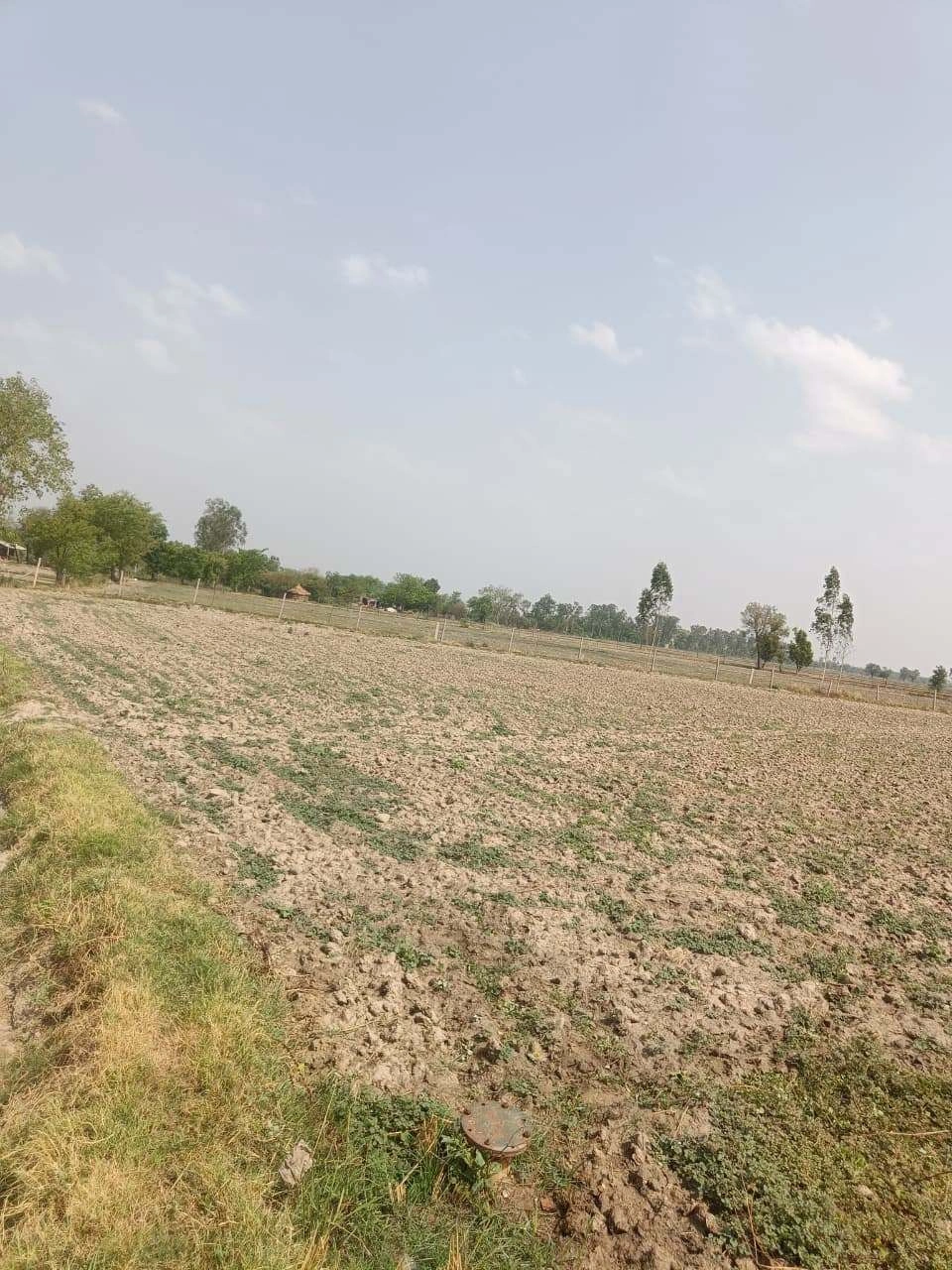 Aou, Rajasthan, India