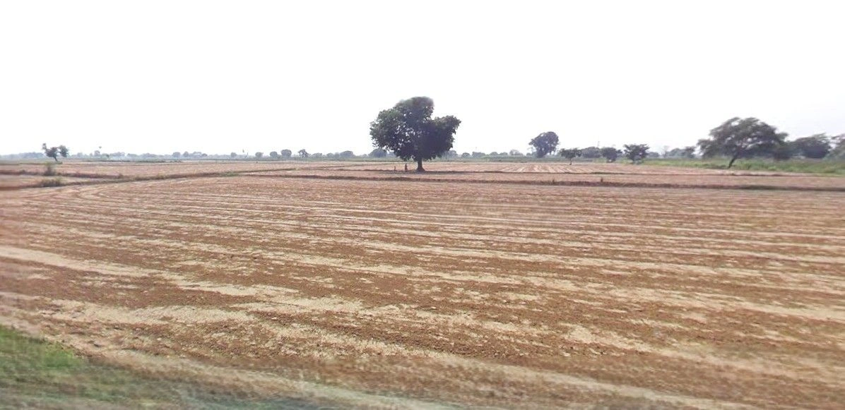 Barnagar, Madhya Pradesh 456771, India