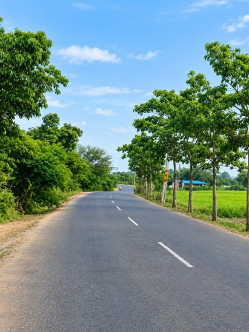 V427+HW, Mahabubnagar, Chennavalli, Telangana 509202, India