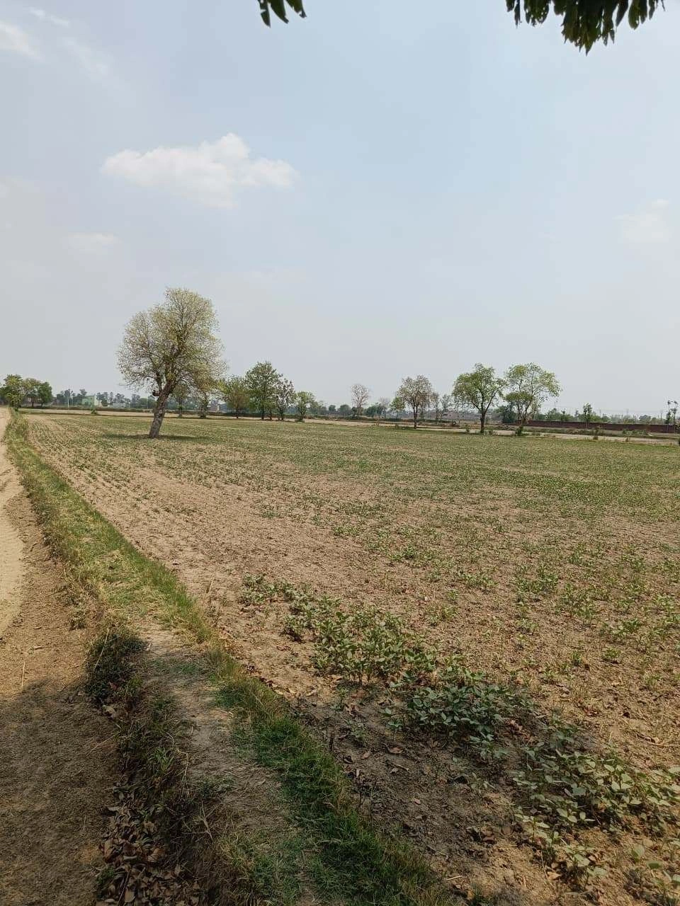 Gharwari, Rajasthan 321201, India