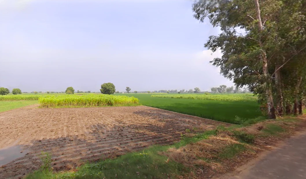 Kinana, Haryana 126114, India