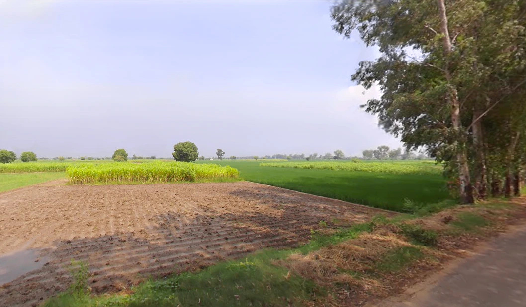 Kinana, Haryana 126114, India