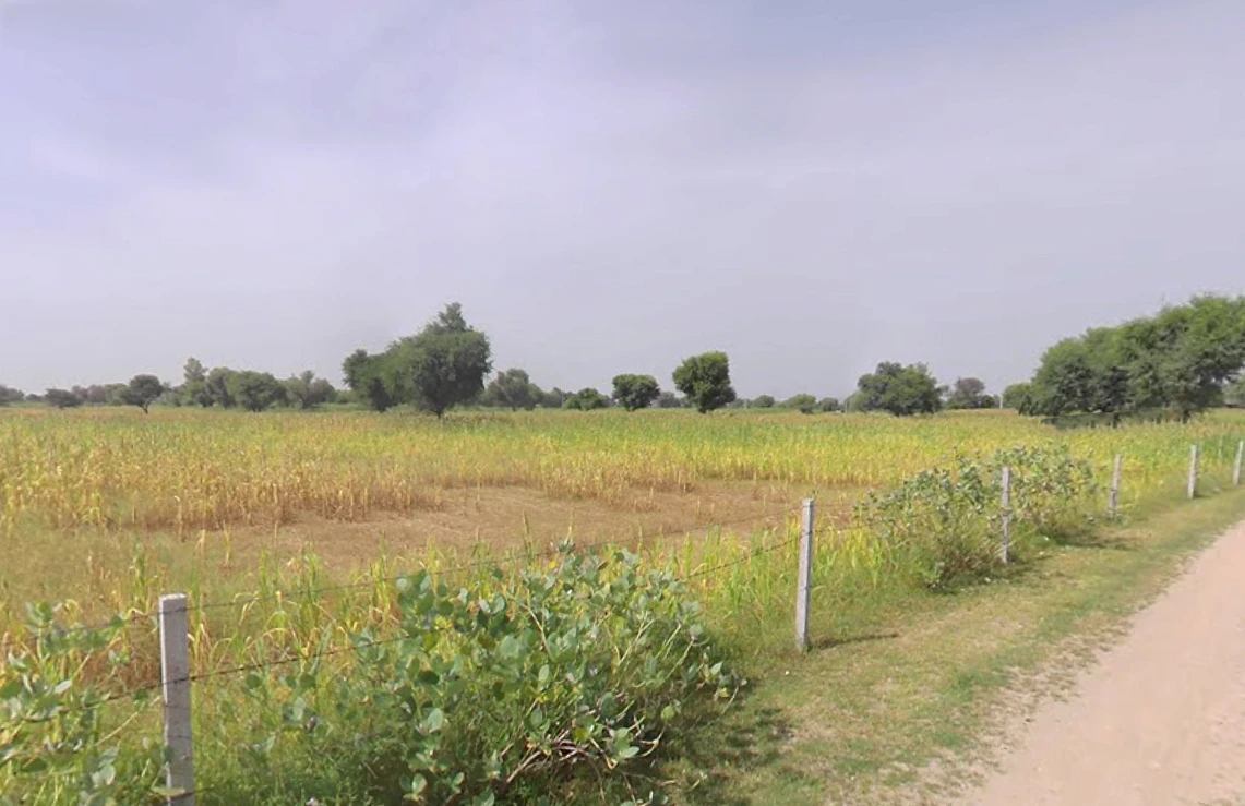 Mahlan, Rajasthan 303007, India