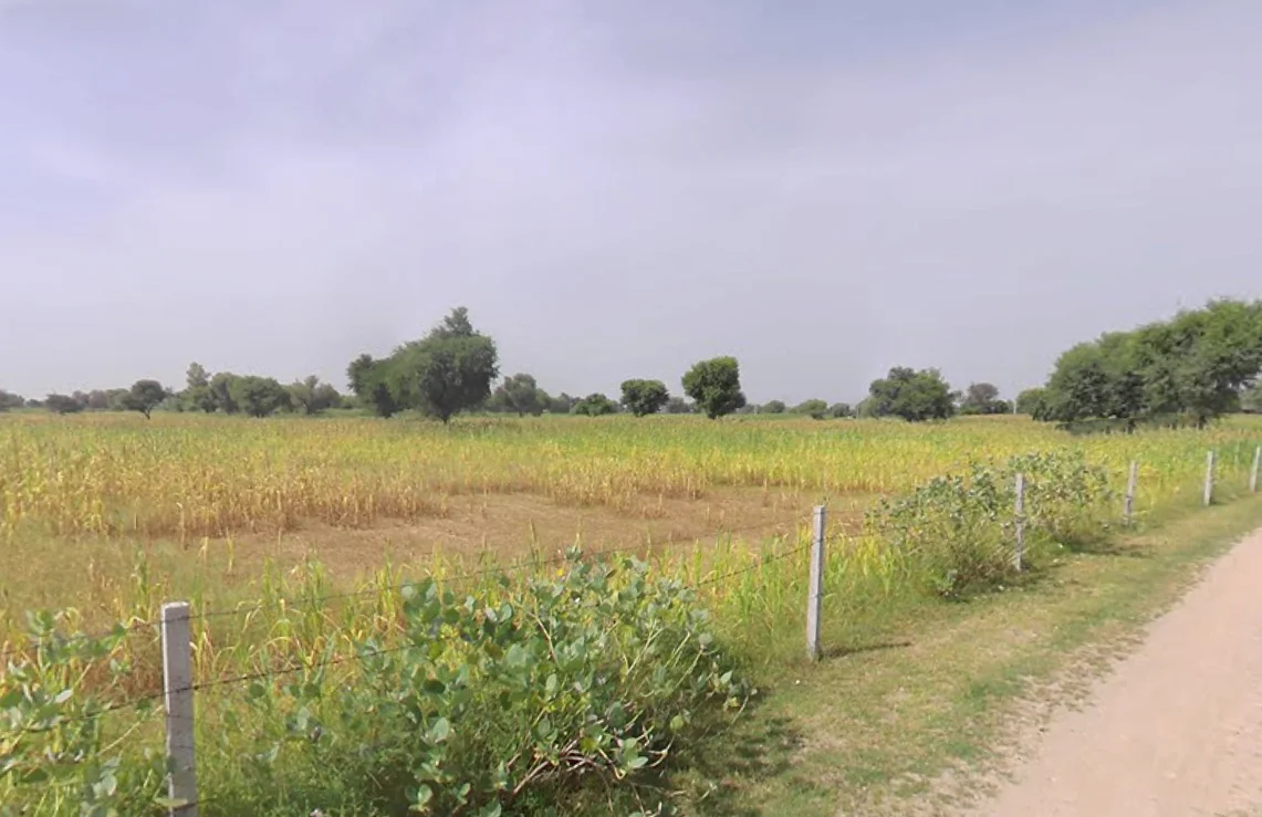 Mahlan, Rajasthan 303007, India preview 2