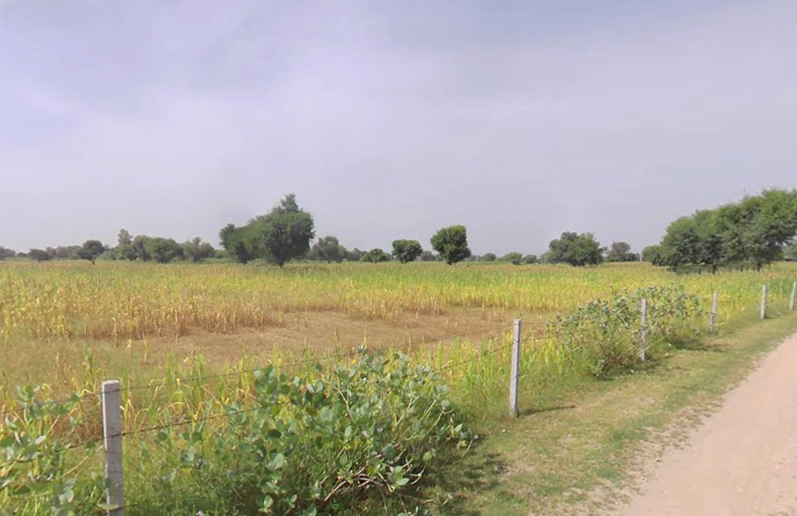 Mahlan, Rajasthan 303007, India