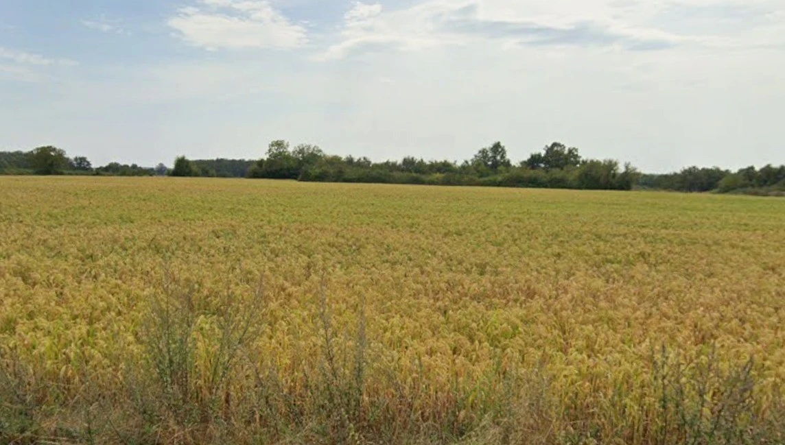 Satlapur, Madhya Pradesh, India
