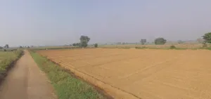 Karnal, Haryana, India preview 3