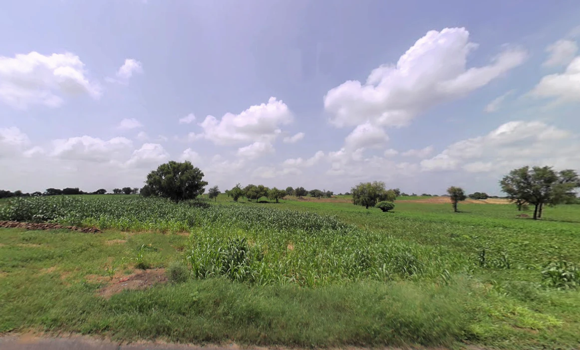 Balsamand, Haryana 125004, India