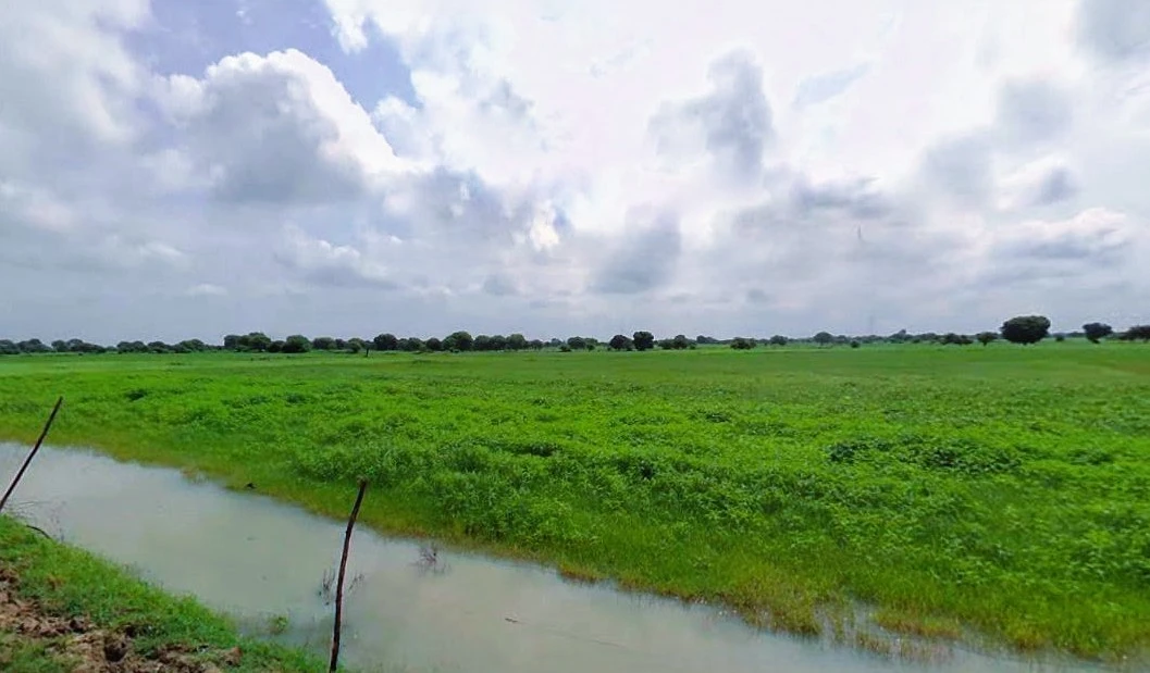 Rewari, Haryana 123401, India