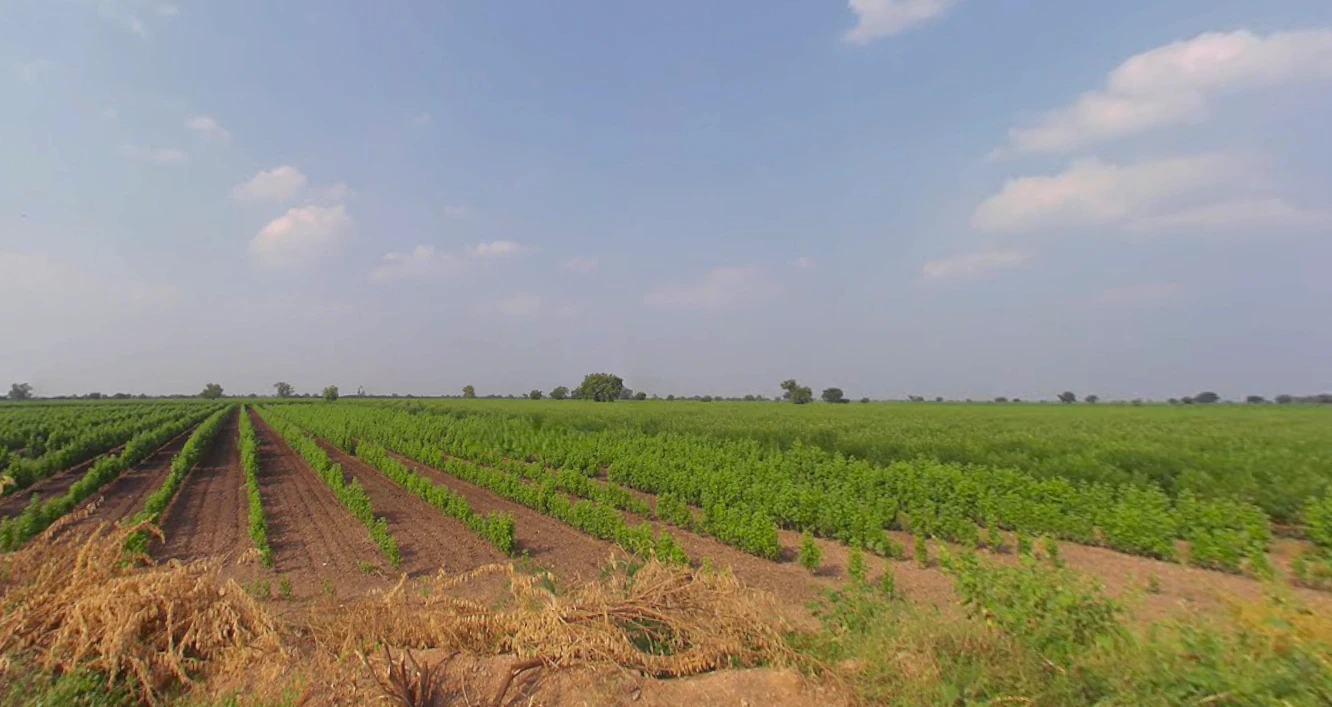 Dabhan, Gujarat, India