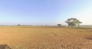 Mandala, Gujarat, India preview 3