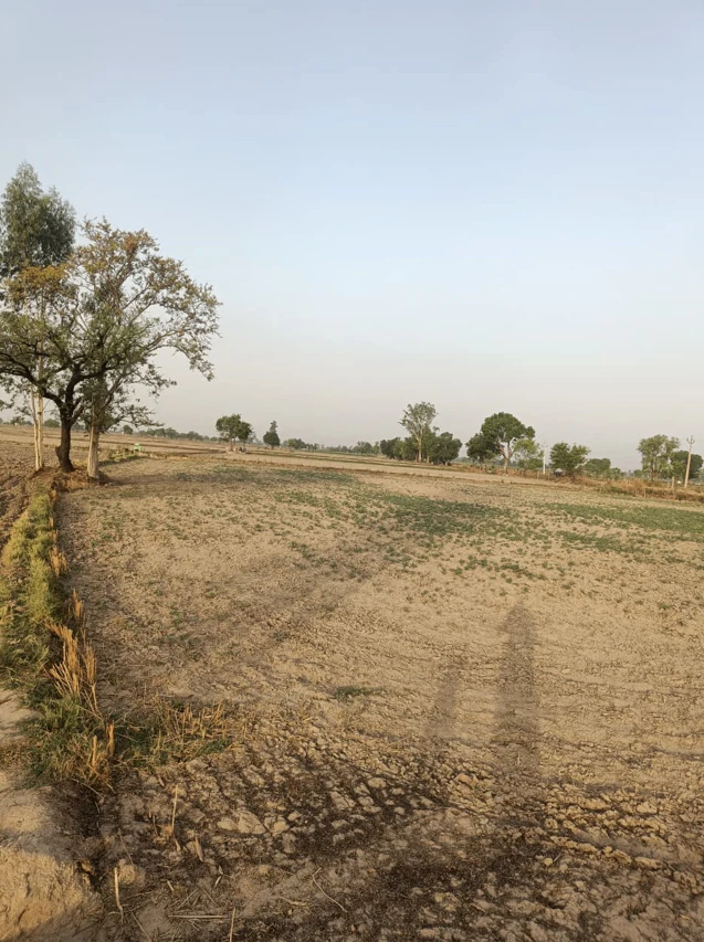 Nawala, Uttar Pradesh 251201, India