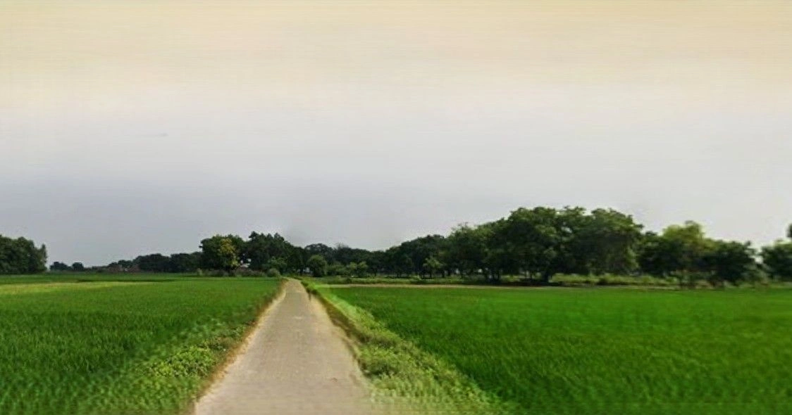 Asrawe Khurd, Uttar Pradesh 211012, India