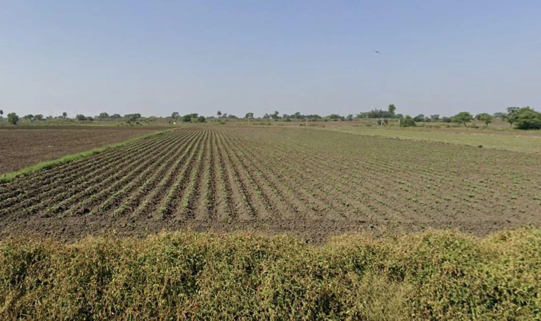 RWCQ+J59, Indore, Madhya Pradesh, India