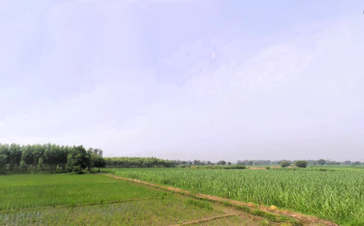 Bhali Anandpur, Haryana 124411, India