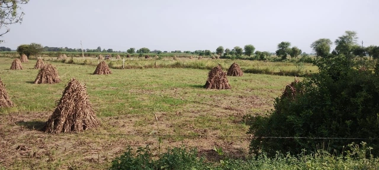 JJMJ+QFF, Ulaheri, Rajasthan 301023, India preview 2
