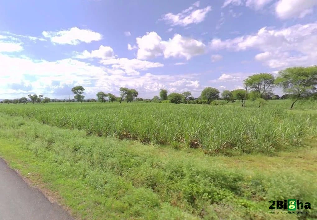 Janjgir-Champa, Chhattisgarh, India