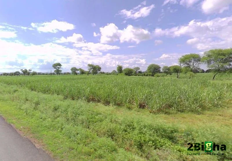 Janjgir-Champa, Chhattisgarh, India preview 3