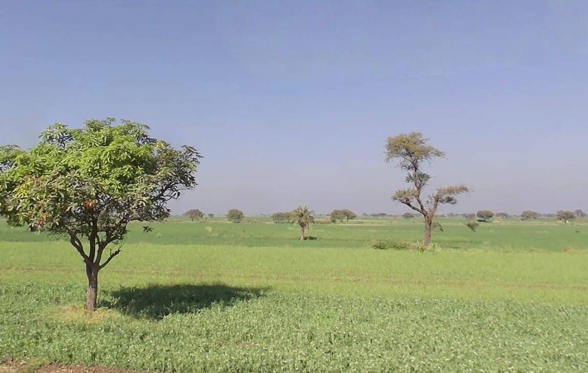 Bhidota Khurd, Madhya Pradesh 454001, India preview 2