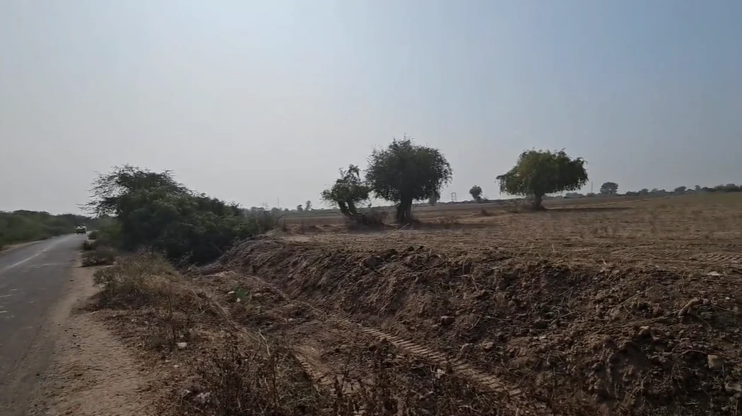 82JF+XMC, Solgam, Gujarat 382130, India