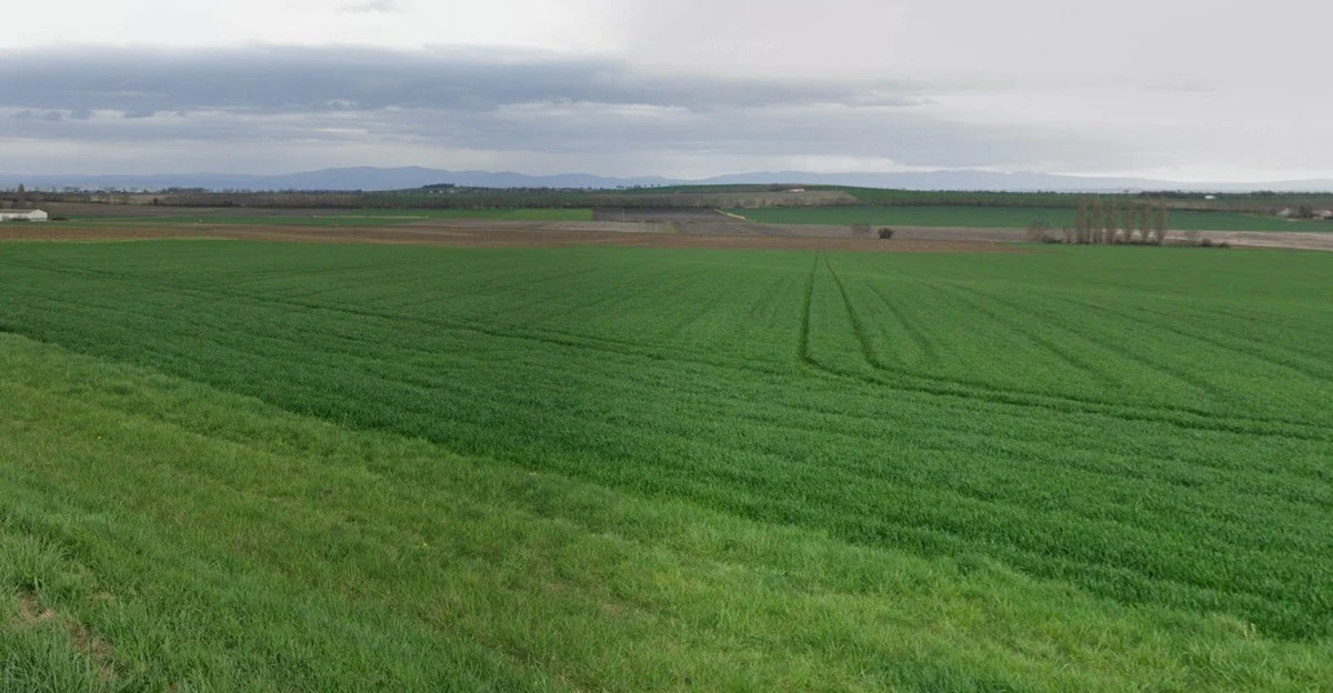 Rania, Uttar Pradesh, India