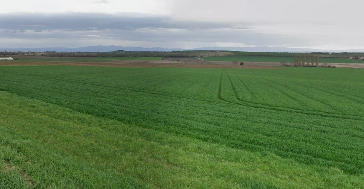 Rania, Uttar Pradesh, India