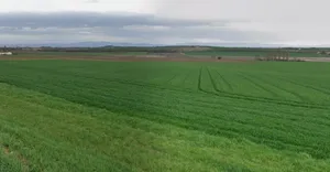 Rania, Uttar Pradesh, India preview 3