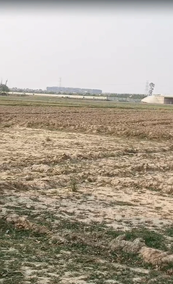 Tilhar, Shahjahanpur, Uttar Pradesh 242307, India
