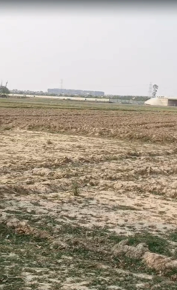 Tilhar, Shahjahanpur, Uttar Pradesh 242307, India