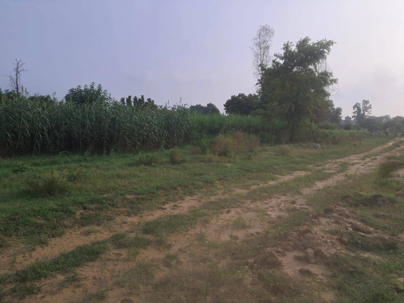 P6C2+8V, Ayodhya, Dadera, Uttar Pradesh 224135, India