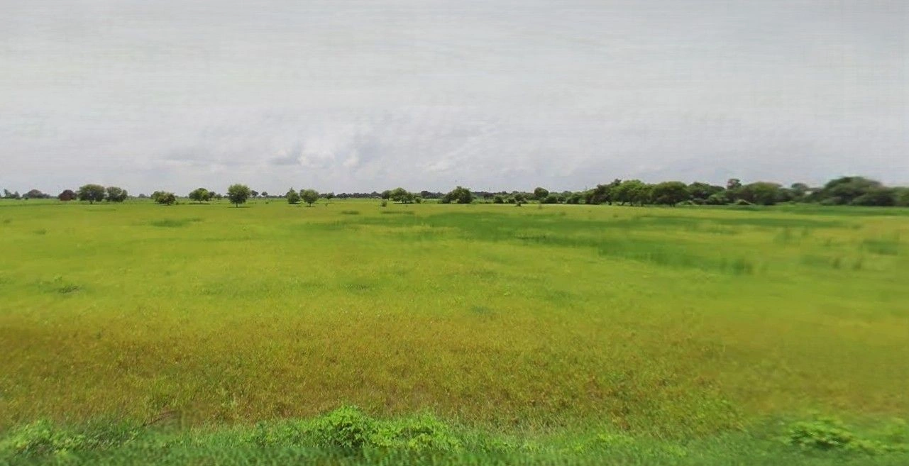 Gunnaur, Uttar Pradesh 243722, India preview 3