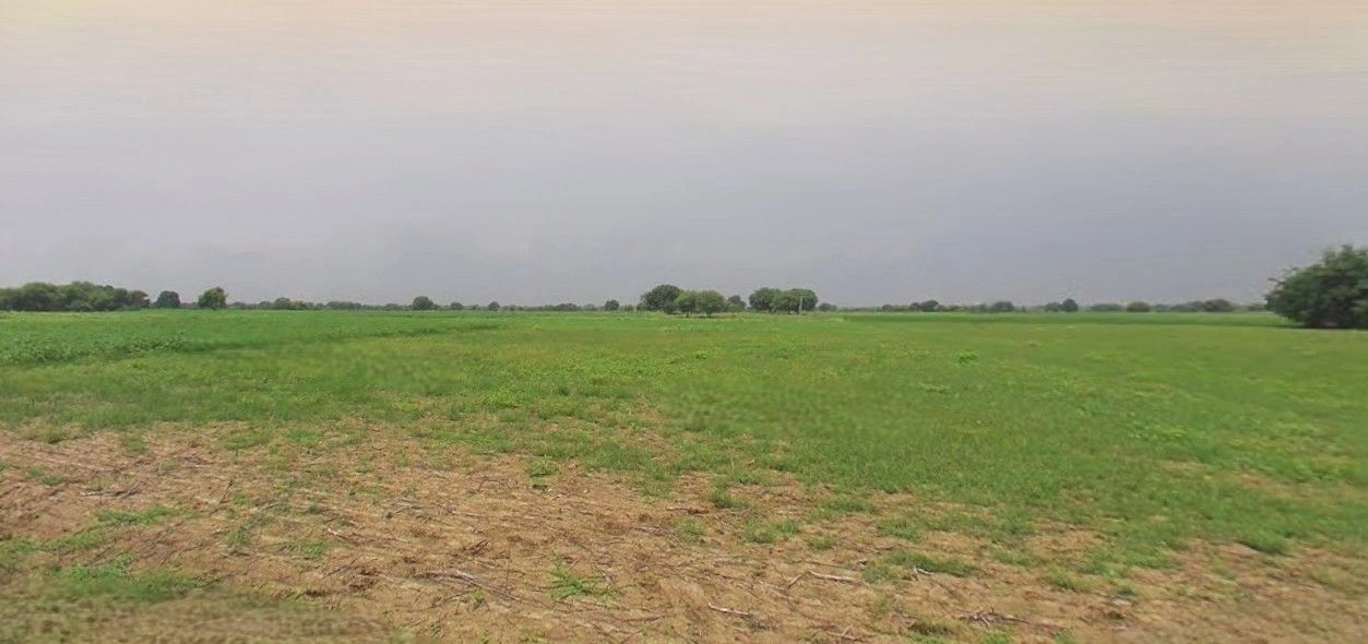 Q2XC+8R6, Mohsin -E- Azam Colony, Civil Lines, Rampur, Uttar Pradesh 244901, India