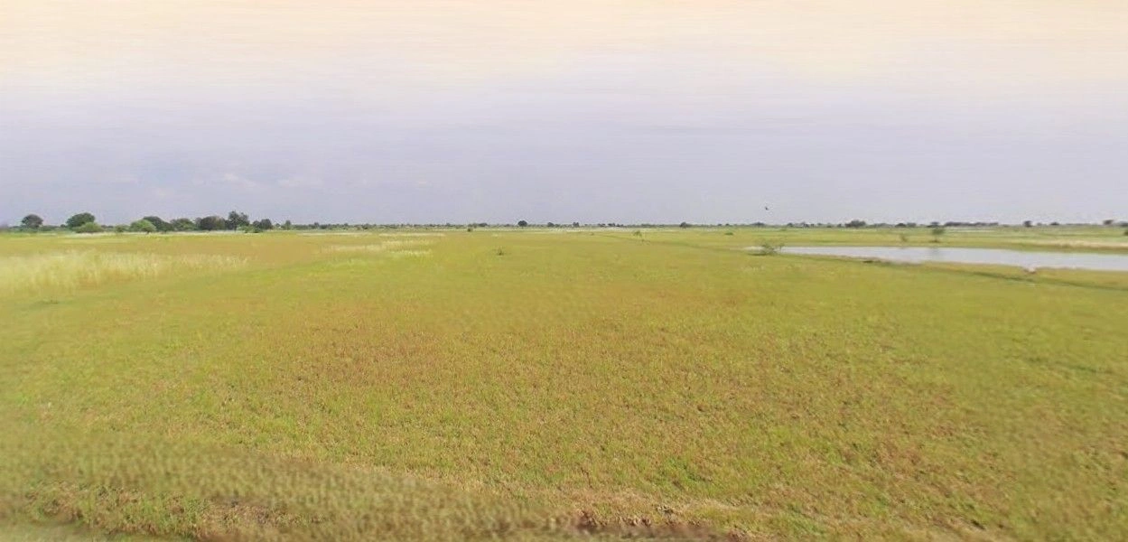 Suar, Uttar Pradesh 244924, India preview 2