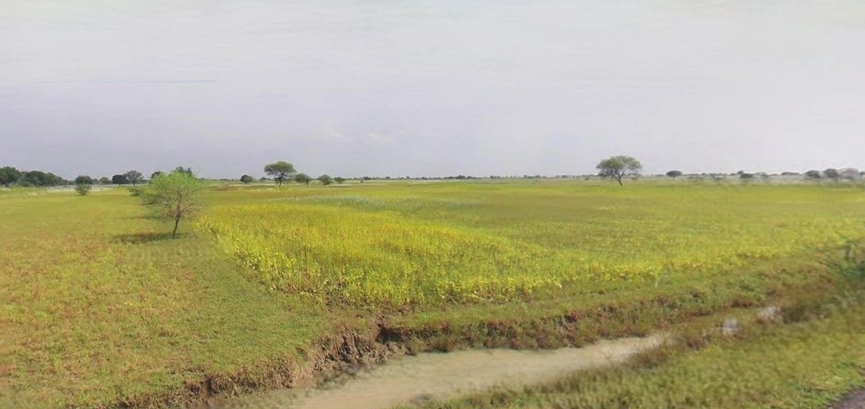 RW72+PWF, NH 9, Chamraua, Daulara, Uttar Pradesh 244104, India