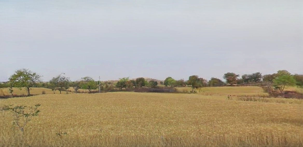 Tanda, Uttar Pradesh 244925, India