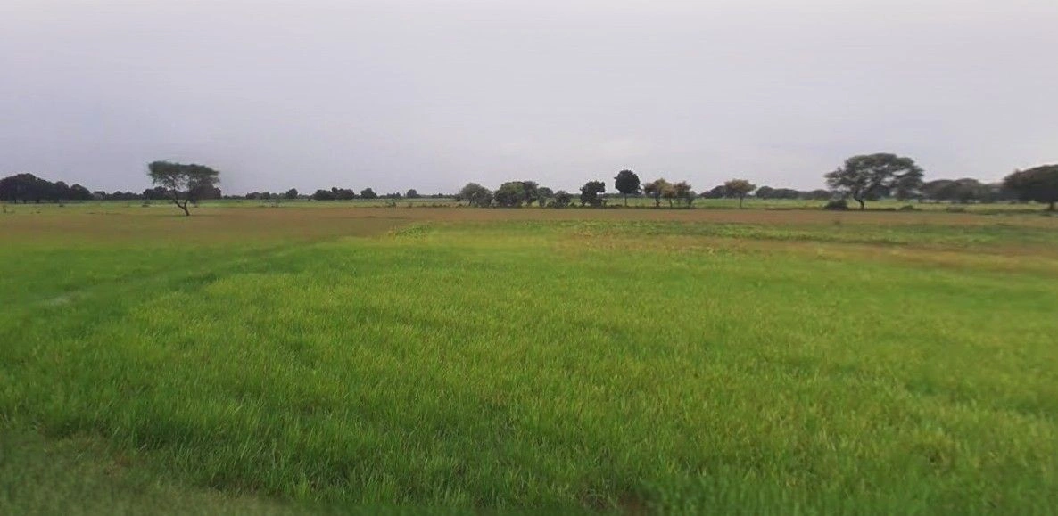 Sitamau, Madhya Pradesh 458990, India