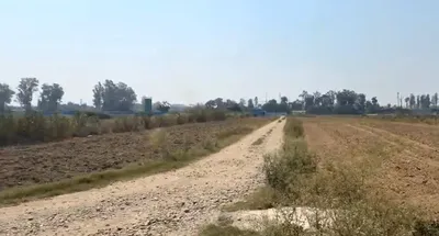 Jatowala, Uttarakhand 248197, India preview 3