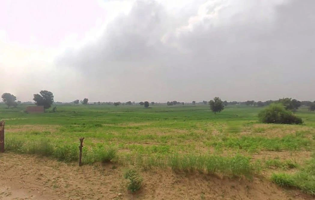 WVM8+576, Arjansar, Rajasthan 334604, India