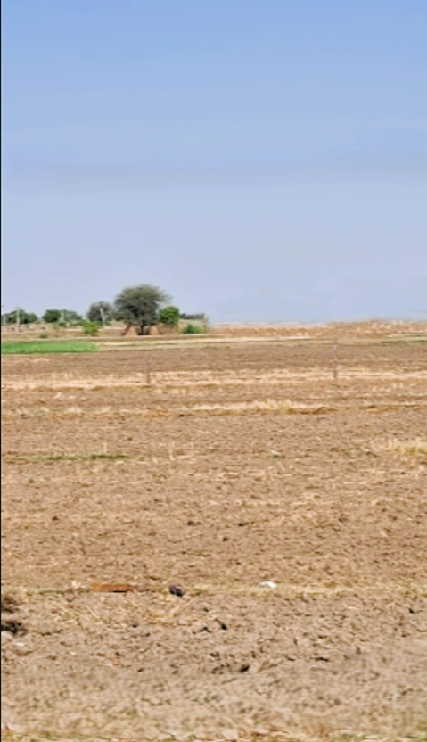 Chidwai, Rajasthan 301026, India preview 2