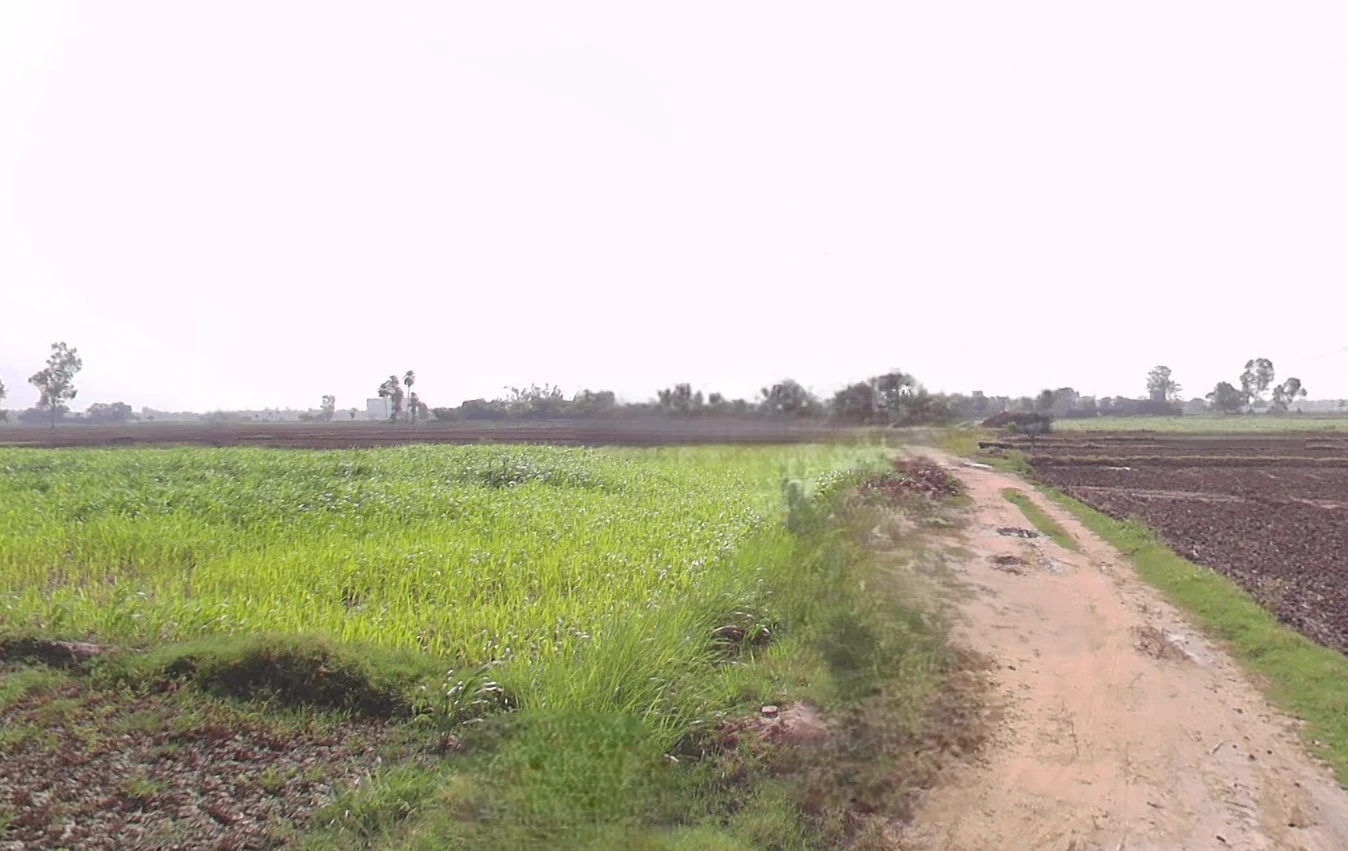 Bargodam, Kalka, Haryana 133302, India preview 3