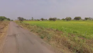 Jhalap, Chhattisgarh 493551, India preview 2