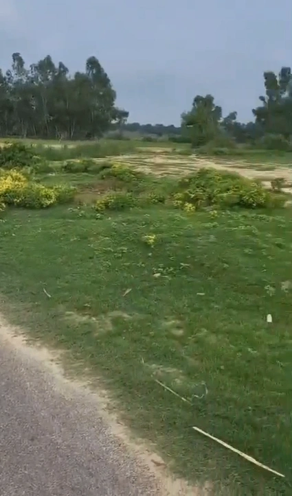 Barnagar, Madhya Pradesh 456771, India