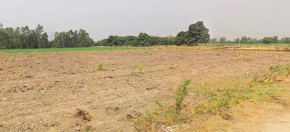 Beri, Haryana 124201, India