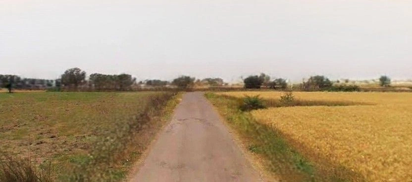 Painti Kalan, Uttar Pradesh 244102, India