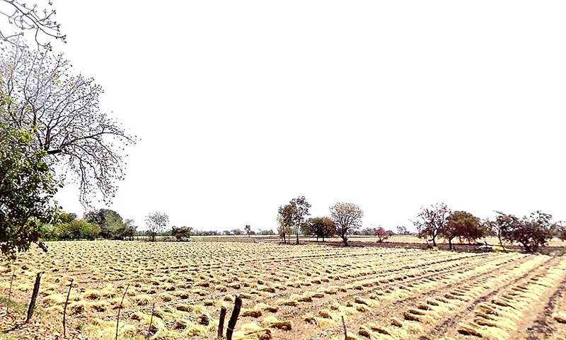 97C6+QXM, Chhindwada, Madhya Pradesh 462036, India preview 3